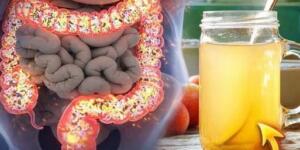 Bu karışımı ile bağırsaklarınızdan kilolarca ze hirli atık çıkarın! T’arifi