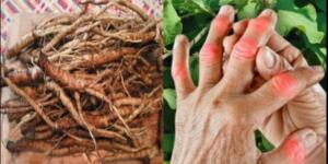 Kemoterapiden 100 kat daha etkilidir